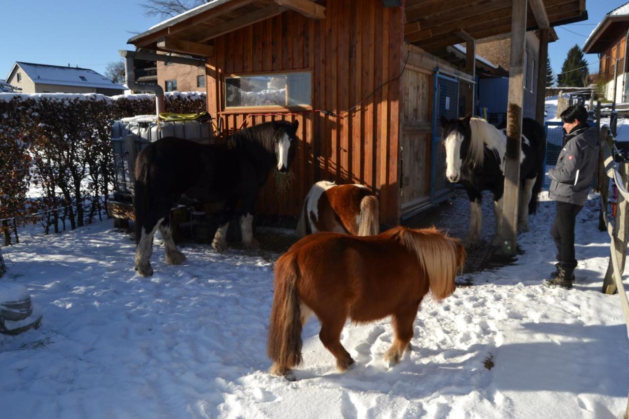 Ferien Bei Freunden Im Holzhaus Lägenhet Monschau Exteriör bild
