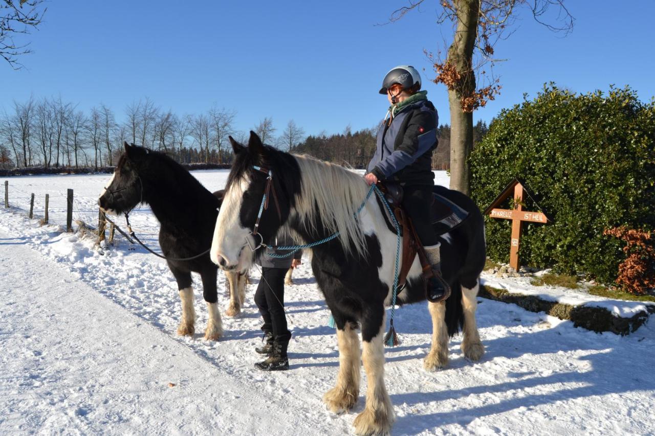 Ferien Bei Freunden Im Holzhaus Lägenhet Monschau Exteriör bild